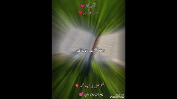 قرآن كريم💕سورة الكافرون♥️ #like_and_subscribe #اكسبلور #foryou #fyp #اللهم_صل_وسلم_على_نبينا_محمد