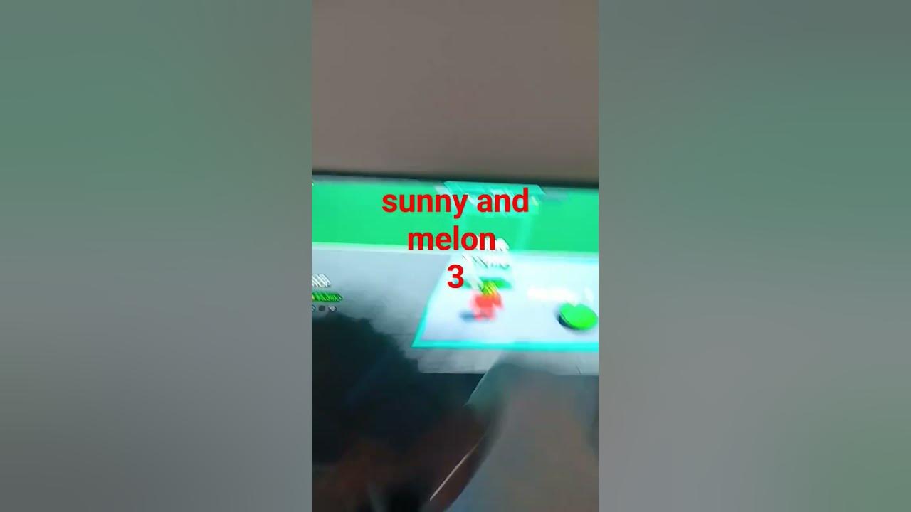 sunny and melon 3 YouTube