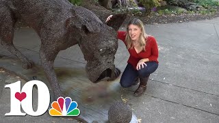 How to have a scary good time in Downtown Knoxville during spooky season Net Worth