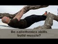 Are Calisthenics Skills Good for Building Muscle? And Other Questions