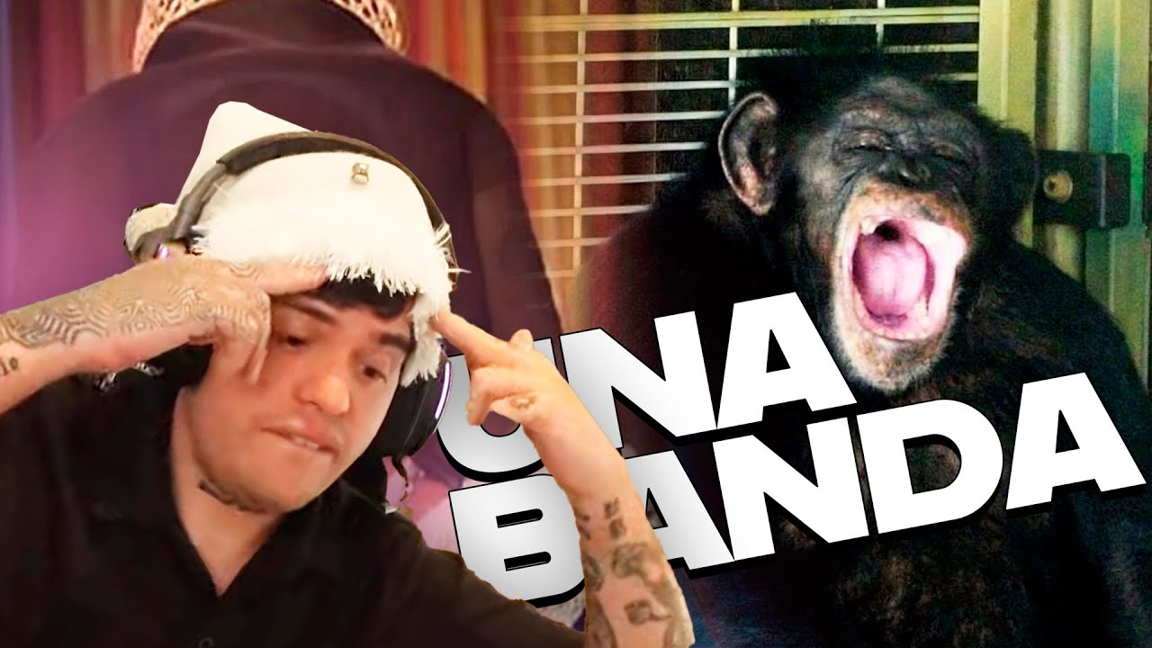 ESTA SEÑORA ADOPTÓ UN MONO ASESINO