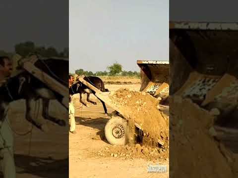 amazing-and-funny-video-of-dangerous-tractor-stunt-#shorts-#youtubeshorts-#villagelifevlogs-#viral