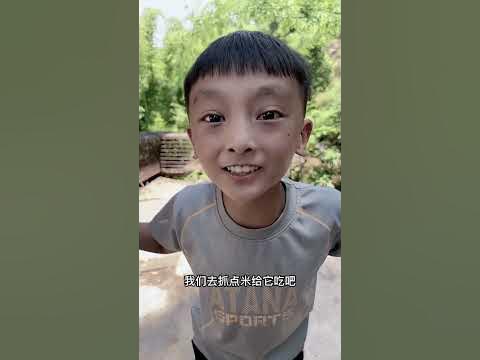 是谁把大米拿去玩？！妈妈为了教育孩子们带他们体验收稻子！（上）#亲子 #短剧 #搞笑 #反转 #梅真烫唐妖妖