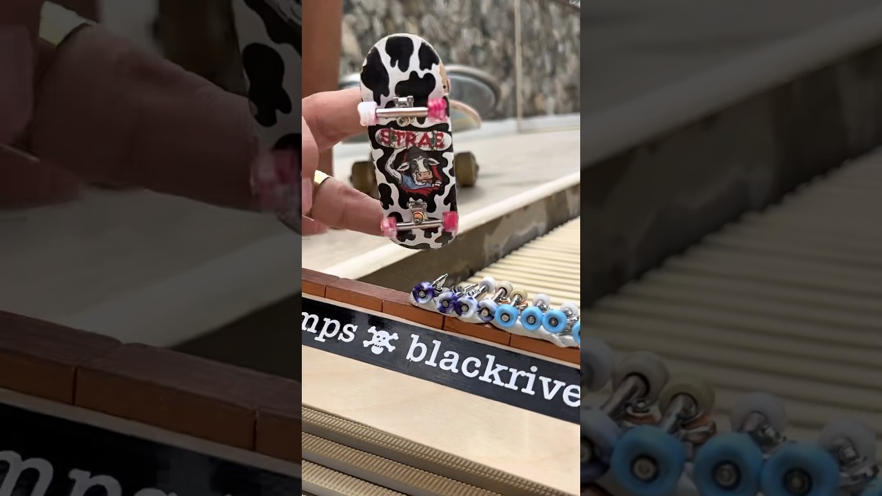 Shark wheels left the chat 😳 