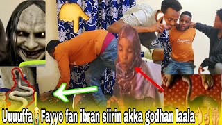 Uuuuuuffa 😭 ibraan akka godhan gareen fayyoo Zakko fi abdii