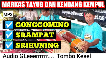 🇮🇩 Tayub Penghantar Tidur || TAYUB GONGGOMINO, SRAMPAT, SRIHUNING - Terbaru 2021
