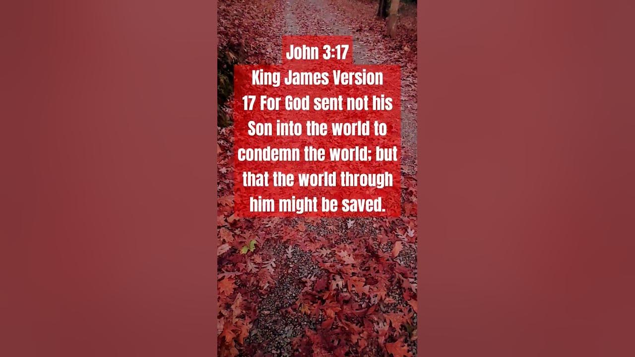 john-3-17-kjv-youtube