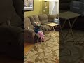 Eleanor does a back walkover off the couch