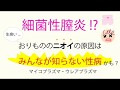 細菌性膣炎！？ニオイの原因はみんなが知らない性感染症かも。膀胱炎の原因にも