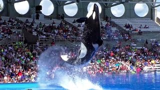 One Ocean Full Show - SeaWorld Orlando 2015