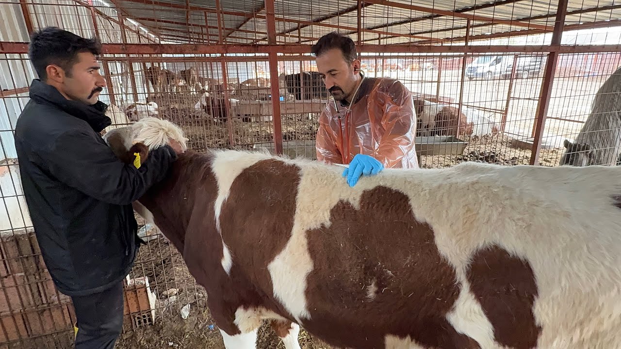 HEP İŞİN İYİ TARAFI OLMUYOR