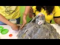 Volcano model making  volcano eruption experiment