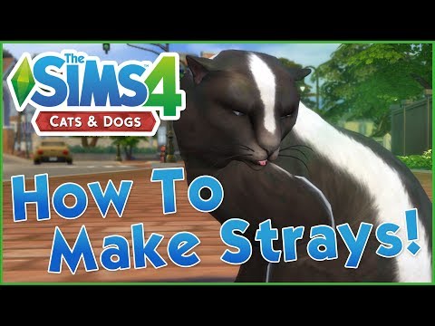 How To Make Custom Stray (And Wild!) Animals! Sims 4: Cats & Dogs Tutorial  - Youtube