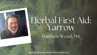 Herbal First Aid with Matthew Wood: Yarrow