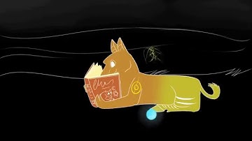 Back To My Roots MAP - Part 12 (for fluffylovey)