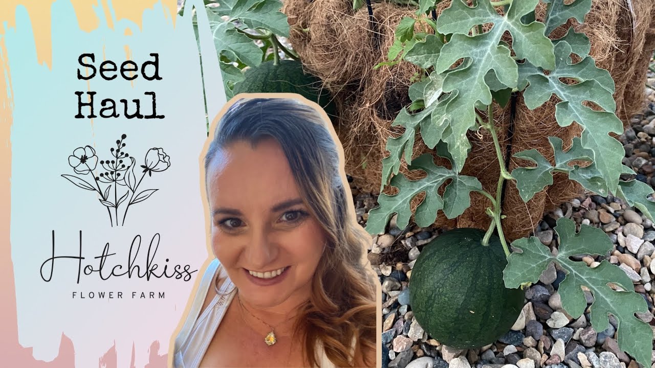 Baker Creek Seed haul. Melon growing experiment. YouTube
