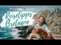 Die 7 schönsten Sehenswürdigkeiten der Bretagne | REISEN | Lilies Diary