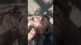 Kyle destroys the Colossus | Dying Light: The Beast