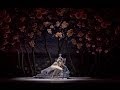 Спящая Красавица в Михайловском театре / The Sleeping Beauty at the Mikhailovsky Theatre