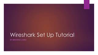 Setting up custom column views within Wireshark.