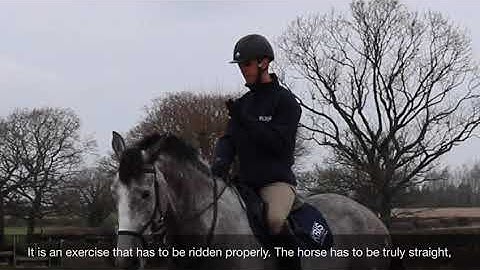 Dan Bizzarro - pole work