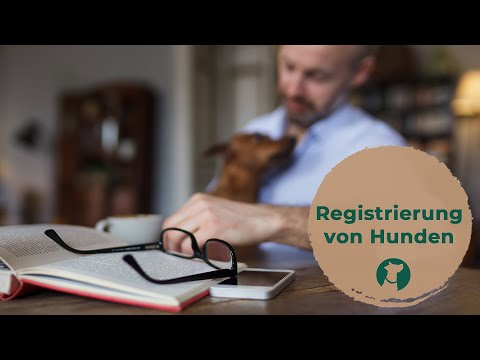 Registrierung von Hunden