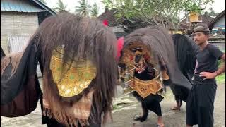 Two Barongs compete in mechanics in Pekilen Tabanan