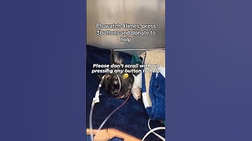 Urgent Support Needed, For any contribution, link in our bio — every pledge is deeply appreciated