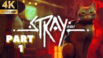 STRAY Gameplay Walkthrough Part 1 [4k 60FPS PC] - No commentary (FULL GAME)