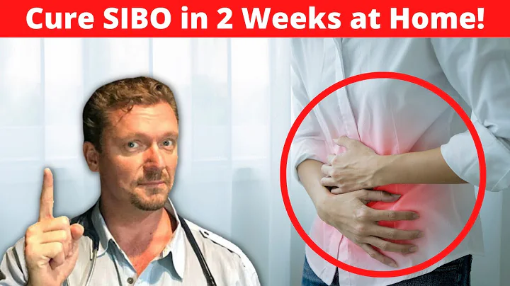 Cure SIBO in 2 weeks! [Bloating & Belly Pain Gone]