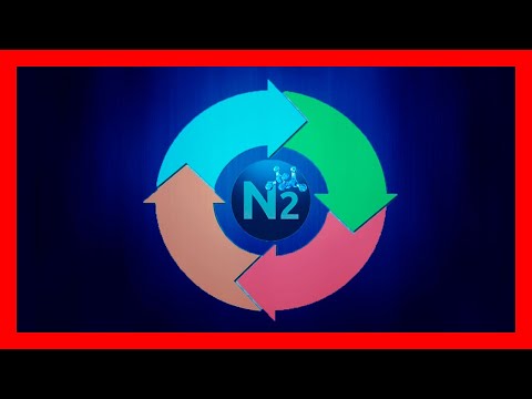 Video: ¿Cuáles son los flujos en el ciclo del nitrógeno?