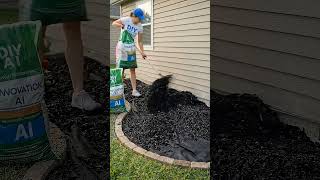 Famous Transforming a Messy Yard into a Gorgeous Flower Bed! 🌸 | Easy DIY Landscaping Wealth