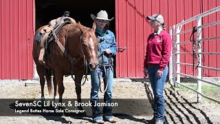 Brook Jamison Interview Legend Buttes Horse Sale Consignor