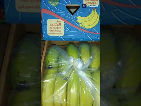 تخمير الموز فعل لا يصدق