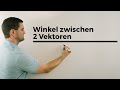 Winkel zwischen 2 Vektoren erklärt | Mathe by Daniel Jung