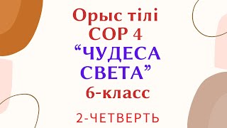 Порно шарап құяды Желіде жаңа буын қуыршақпен секс туралы порно видео