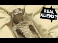 Alien Corpses might be real?