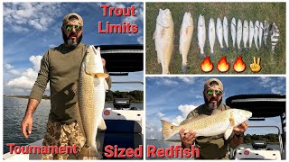 Tournament Sized Redfish, Trout Limits & A Surprise MASSIVE GIANT!!!! #fishing #trout #redfish