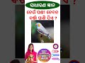 Odia gk sorts || Sadharan gyan sort || Odia quiz sort || Odia general knowledge #gkfacts #shorts