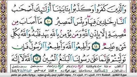 سورة التغابن ايمن رشدي سويد Surah Al Taghabon ayman sweed برواية حفص عن عاصم