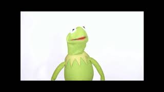 My Muppet Thought of the Week - Kermit Looks on the Brightside