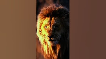 UNLEASH THE POWER WITHIN: Becoming Formidable When You Realize You Can Do It Alone #sigmamotivation