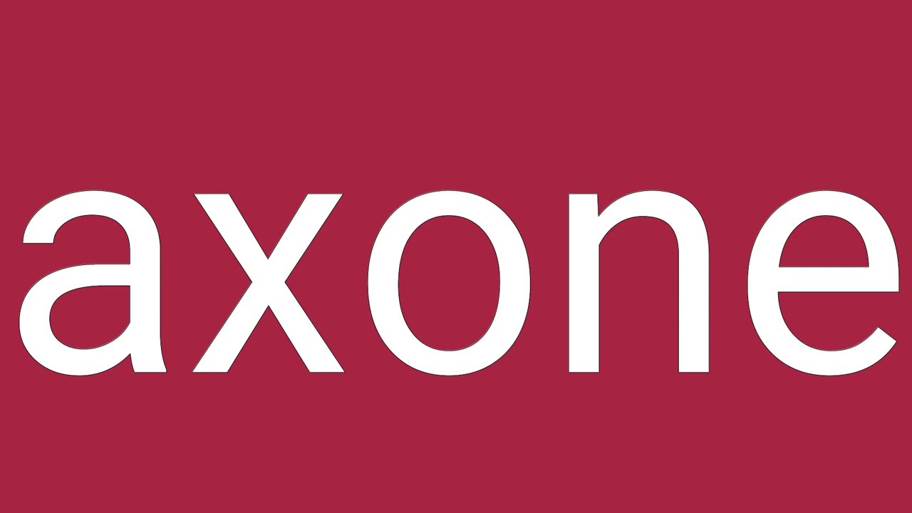 Axone Definition & Meaning