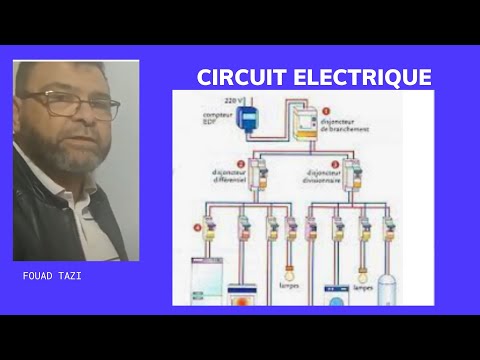 Video N°320 CIRCUIT