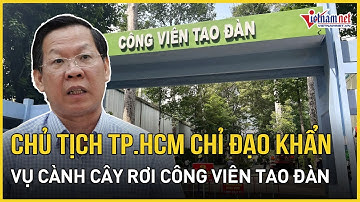 Cập nhật vụ gãy nhánh cây ở công viên Tao Đàn: Chủ tịch TPHCM chỉ đạo khẩn | Báo VietNamNet