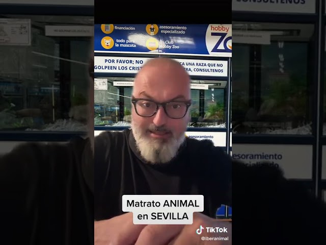 Maltrato animal en Sevilla.