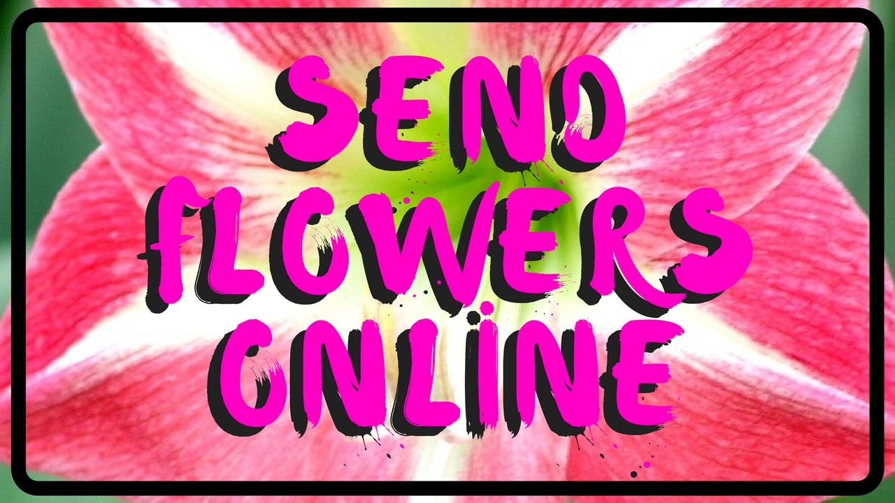 Florist Houston Beautiful Flower Delivery in Texas YouTube