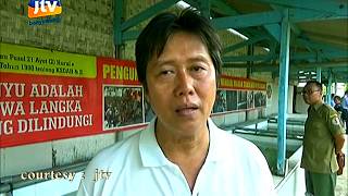 Pelepasliaran Penyu Sitaan