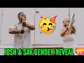 Josh  sav official gender reveal