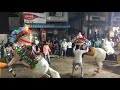 Heera sonya horse satararoad  dancing horse 